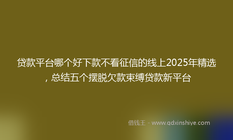 贷款平台哪个好下款不看征信的线上2025年精选，总结五个摆脱欠款束缚贷款新平台