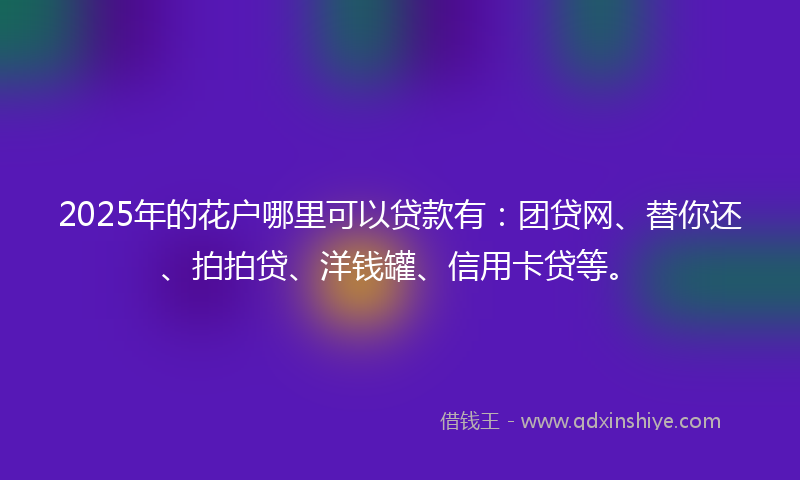 2025年的花户哪里可以贷款有：团贷网、替你还、拍拍贷、洋钱罐、信用卡贷等。