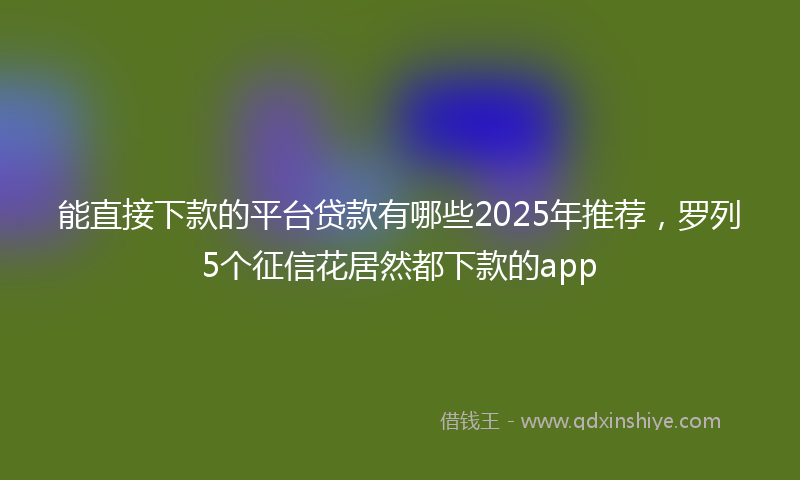 能直接下款的平台贷款有哪些2025年推荐，罗列5个征信花居然都下款的app