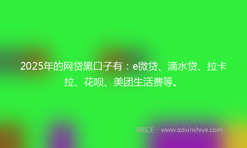 2025年的网贷黑口子有：e微贷、滴水贷、拉卡拉、花呗、美团生活费等。