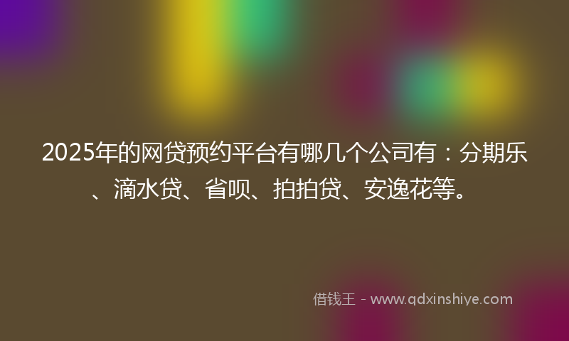 2025年的网贷预约平台有哪几个公司有：分期乐、滴水贷、省呗、拍拍贷、安逸花等。