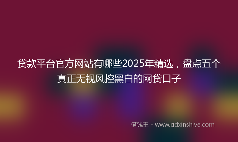 贷款平台官方网站有哪些2025年精选，盘点五个真正无视风控黑白的网贷口子