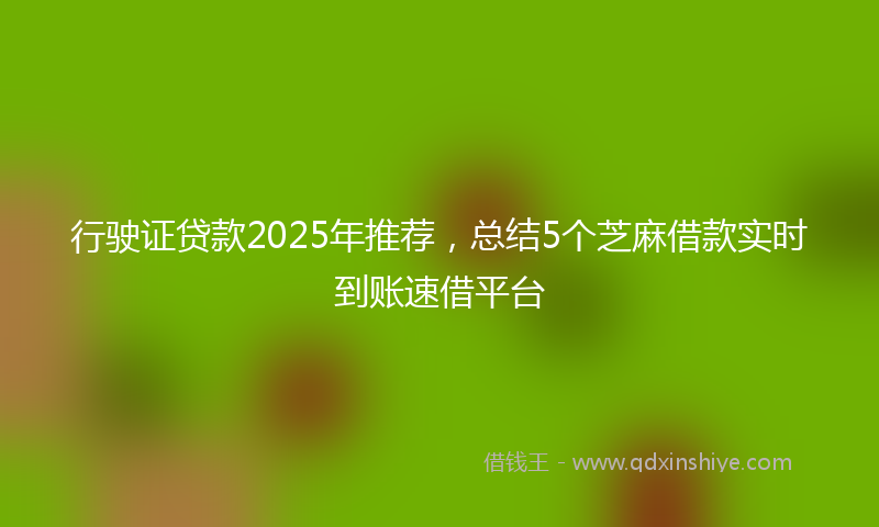 行驶证贷款2025年推荐，总结5个芝麻借款实时到账速借平台