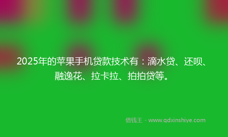 2025年的苹果手机贷款技术有：滴水贷、还呗、融逸花、拉卡拉、拍拍贷等。