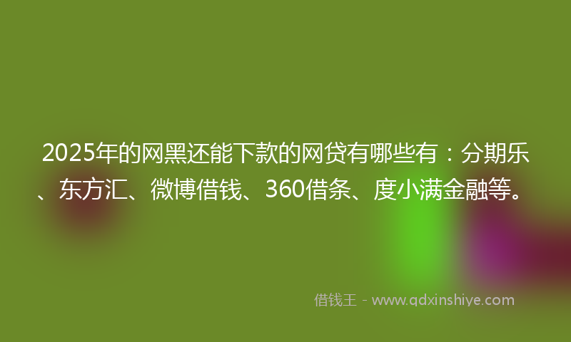 2025年的网黑还能下款的网贷有哪些有：分期乐、东方汇、微博借钱、360借条、度小满金融等。