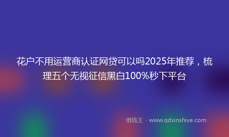 花户不用运营商认证网贷可以吗2025年推荐，梳理五个无视征信黑白100%秒下平台