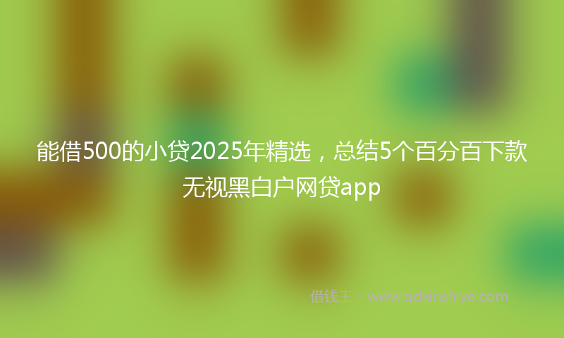 能借500的小贷2025年精选，总结5个百分百下款无视黑白户网贷app