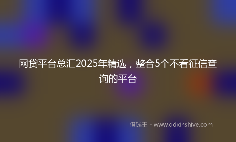 网贷平台总汇2025年精选，整合5个不看征信查询的平台