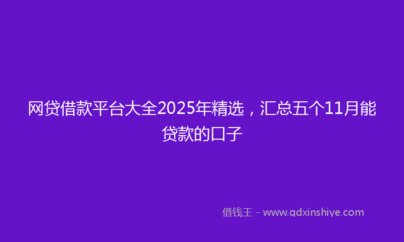 网贷借款平台大全2025年精选，汇总五个11月能贷款的口子