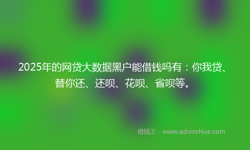 2025年的网贷大数据黑户能借钱吗有：你我贷、替你还、还呗、花呗、省呗等。