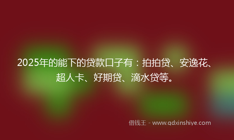 2025年的能下的贷款口子有：拍拍贷、安逸花、超人卡、好期贷、滴水贷等。