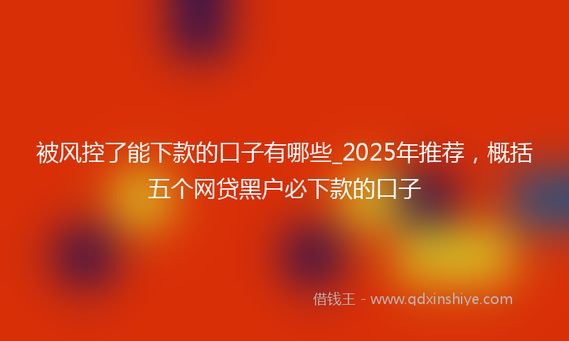 被风控了能下款的口子有哪些_2025年推荐，概括五个网贷黑户必下款的口子