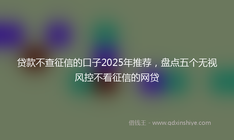 贷款不查征信的口子2025年推荐，盘点五个无视风控不看征信的网贷