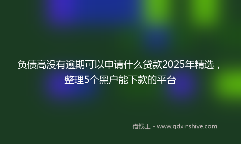 负债高没有逾期可以申请什么贷款2025年精选，整理5个黑户能下款的平台