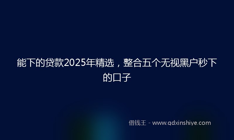 能下的贷款2025年精选，整合五个无视黑户秒下的口子