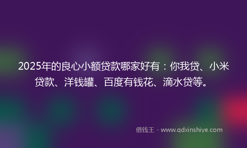 2025年的良心小额贷款哪家好有：你我贷、小米贷款、洋钱罐、百度有钱花、滴水贷等。