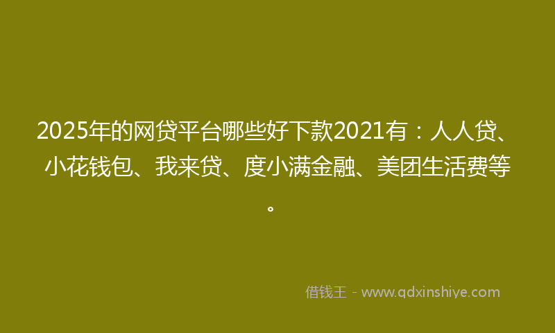 2025年的网贷平台哪些好下款2021有：人人贷、小花钱包、我来贷、度小满金融、美团生活费等。