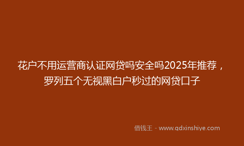 花户不用运营商认证网贷吗安全吗2025年推荐，罗列五个无视黑白户秒过的网贷口子