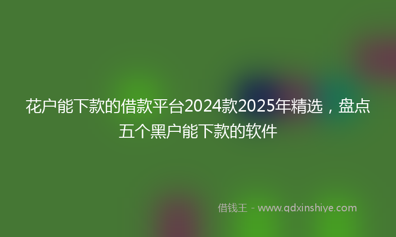 花户能下款的借款平台2024款2025年精选，盘点五个黑户能下款的软件