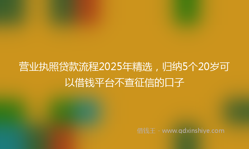 营业执照贷款流程2025年精选，归纳5个20岁可以借钱平台不查征信的口子