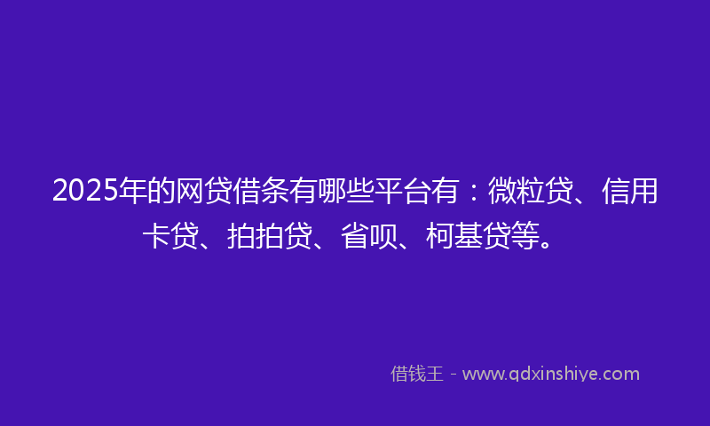 2025年的网贷借条有哪些平台有：微粒贷、信用卡贷、拍拍贷、省呗、柯基贷等。