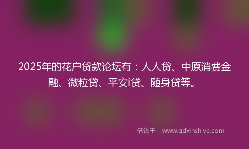 2025年的花户贷款论坛有：人人贷、中原消费金融、微粒贷、平安i贷、随身贷等。