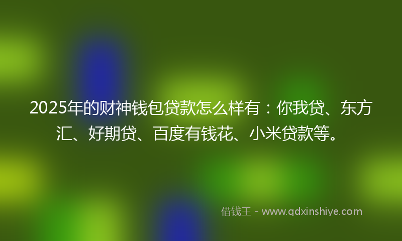 2025年的财神钱包贷款怎么样有：你我贷、东方汇、好期贷、百度有钱花、小米贷款等。