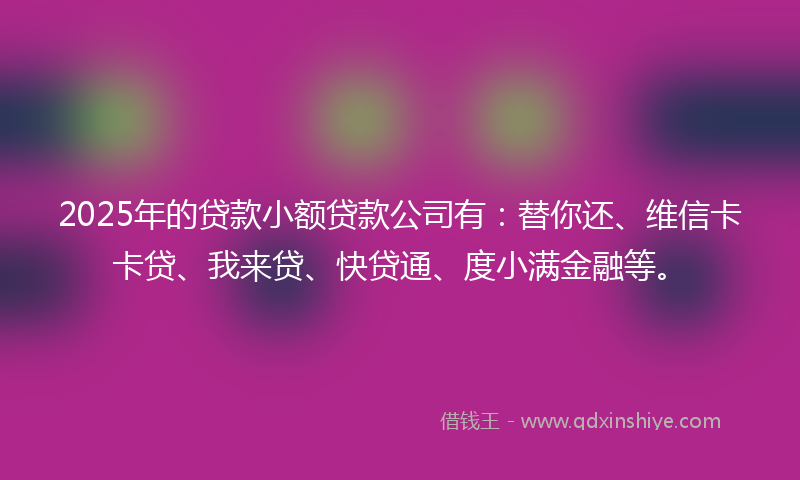 2025年的贷款小额贷款公司有：替你还、维信卡卡贷、我来贷、快贷通、度小满金融等。