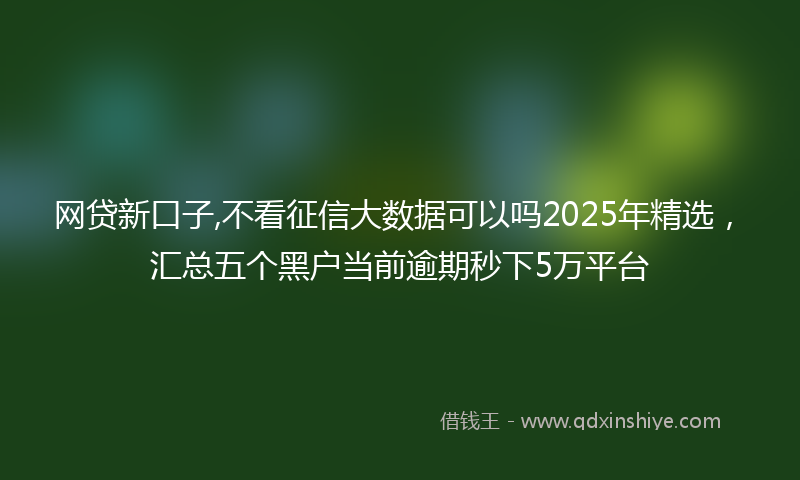 网贷新口子,不看征信大数据可以吗2025年精选，汇总五个黑户当前逾期秒下5万平台