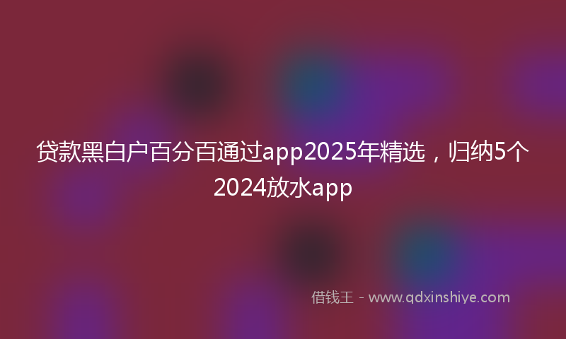 贷款黑白户百分百通过app2025年精选，归纳5个2024放水app