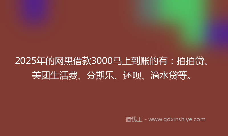 2025年的网黑借款3000马上到账的有：拍拍贷、美团生活费、分期乐、还呗、滴水贷等。