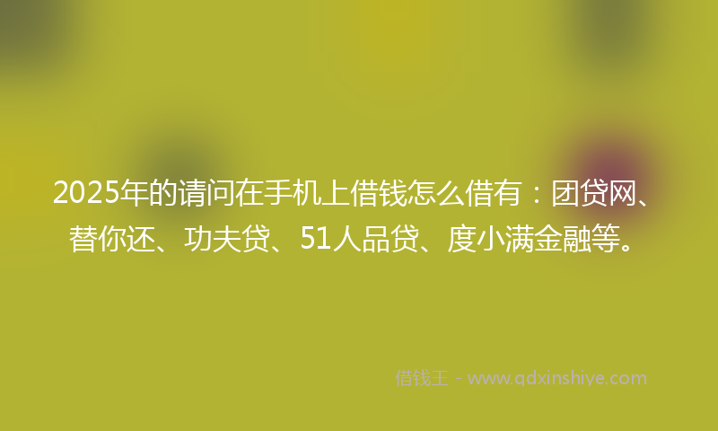 2025年的请问在手机上借钱怎么借有：团贷网、替你还、功夫贷、51人品贷、度小满金融等。