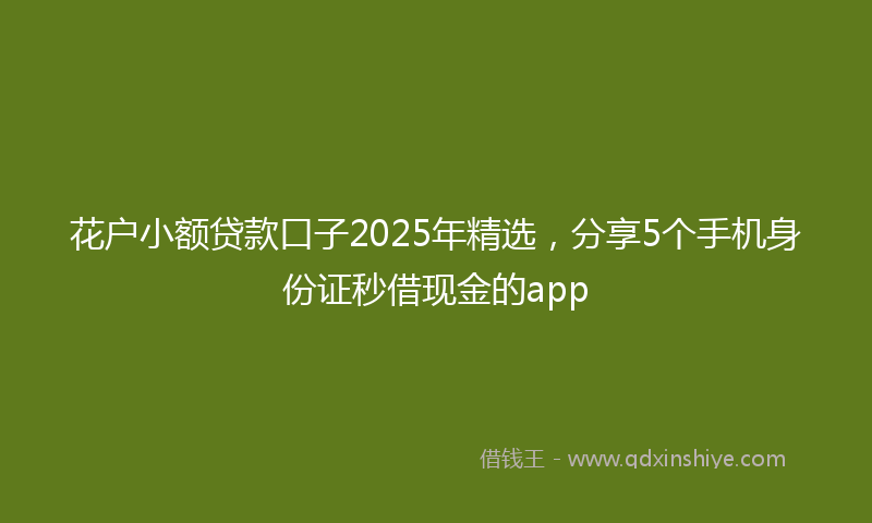 花户小额贷款口子2025年精选，分享5个手机身份证秒借现金的app