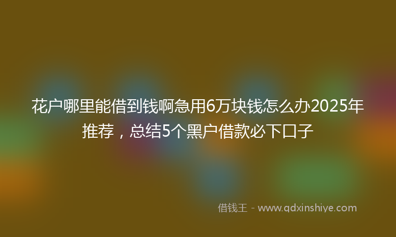 花户哪里能借到钱啊急用6万块钱怎么办2025年推荐，总结5个黑户借款必下口子
