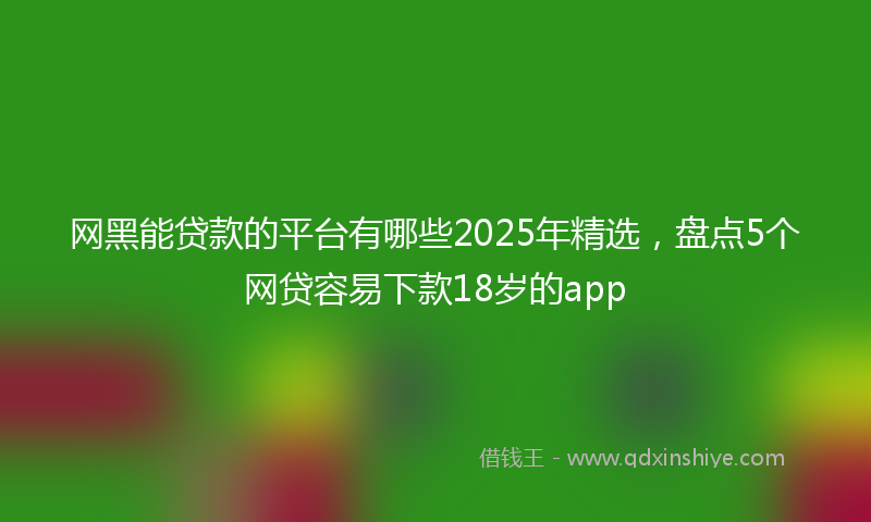 网黑能贷款的平台有哪些2025年精选，盘点5个网贷容易下款18岁的app