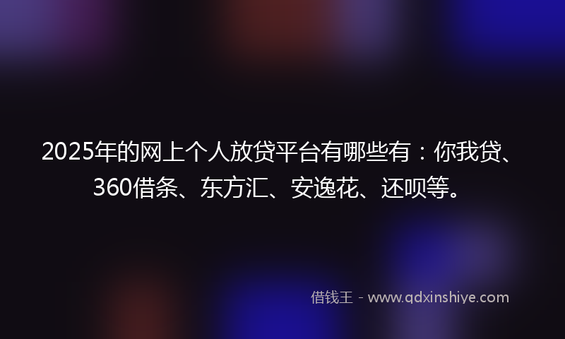 2025年的网上个人放贷平台有哪些有：你我贷、360借条、东方汇、安逸花、还呗等。