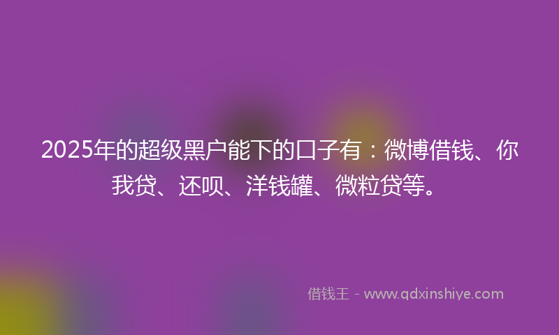 2025年的超级黑户能下的口子有：微博借钱、你我贷、还呗、洋钱罐、微粒贷等。
