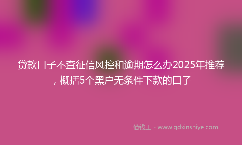 贷款口子不查征信风控和逾期怎么办2025年推荐，概括5个黑户无条件下款的口子