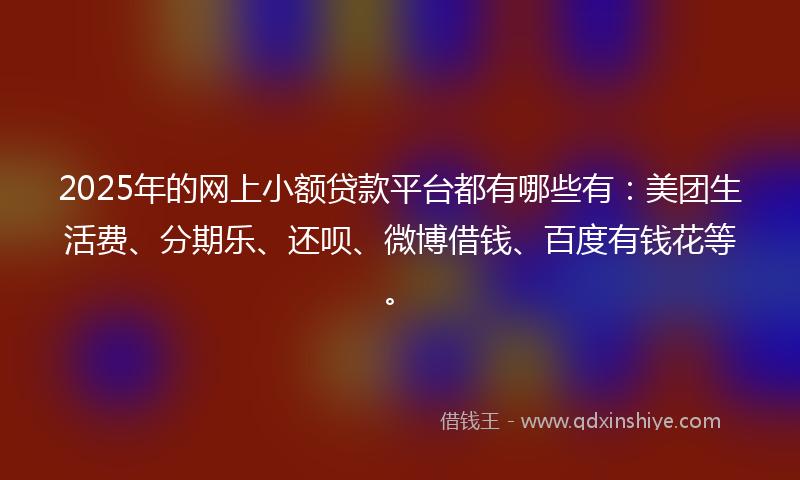 2025年的网上小额贷款平台都有哪些有：美团生活费、分期乐、还呗、微博借钱、百度有钱花等。
