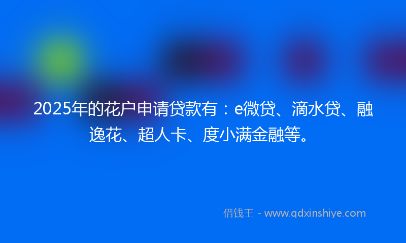 2025年的花户申请贷款有：e微贷、滴水贷、融逸花、超人卡、度小满金融等。