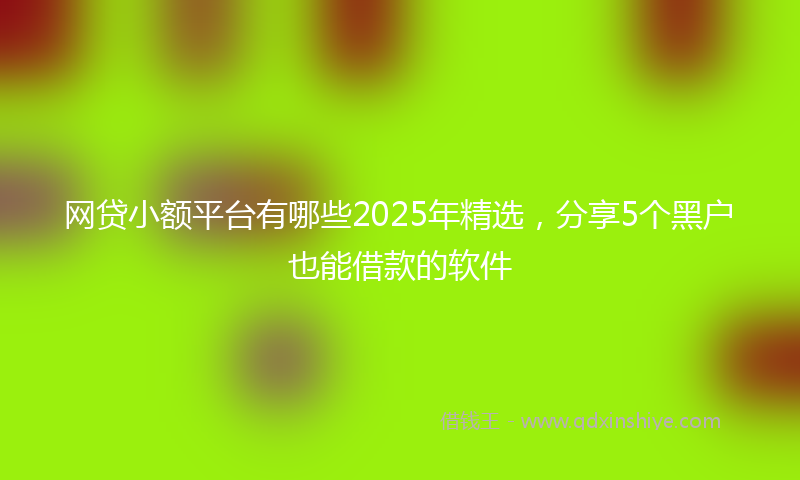 网贷小额平台有哪些2025年精选，分享5个黑户也能借款的软件