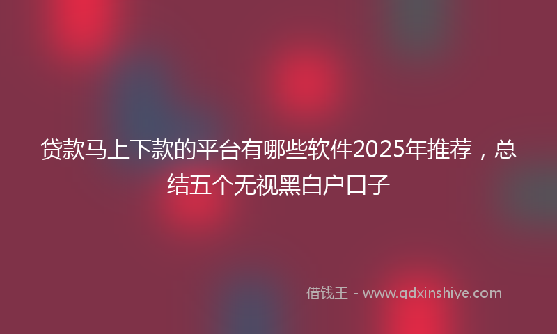 贷款马上下款的平台有哪些软件2025年推荐，总结五个无视黑白户口子