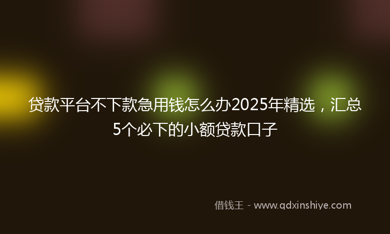 贷款平台不下款急用钱怎么办2025年精选，汇总5个必下的小额贷款口子