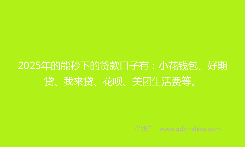 2025年的能秒下的贷款口子有：小花钱包、好期贷、我来贷、花呗、美团生活费等。