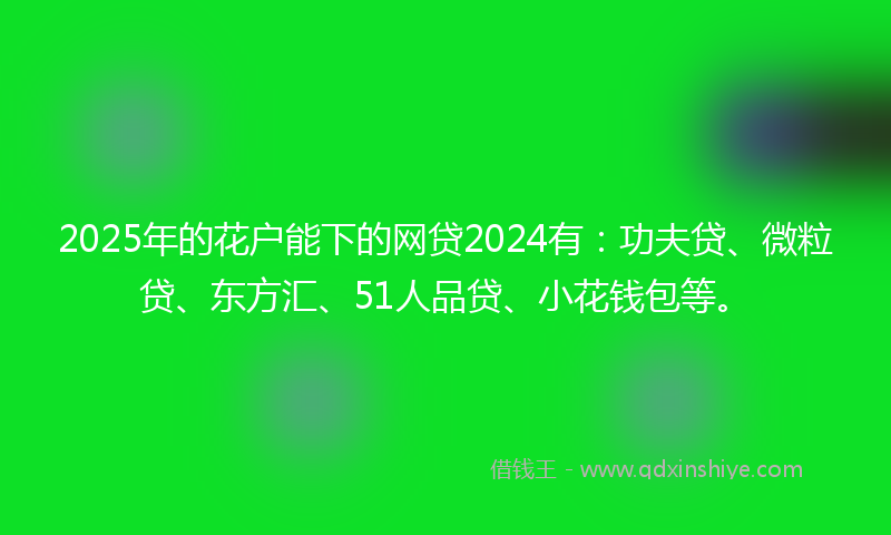 2025年的花户能下的网贷2024有：功夫贷、微粒贷、东方汇、51人品贷、小花钱包等。