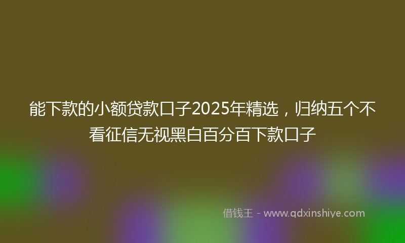 能下款的小额贷款口子2025年精选，归纳五个不看征信无视黑白百分百下款口子