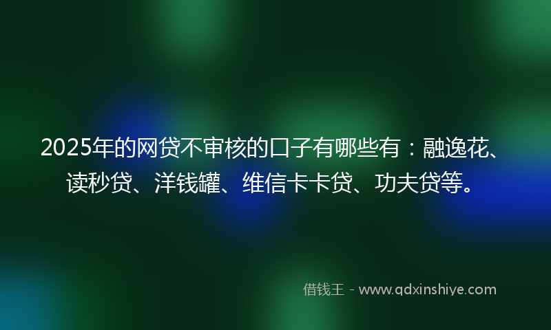 2025年的网贷不审核的口子有哪些有：融逸花、读秒贷、洋钱罐、维信卡卡贷、功夫贷等。