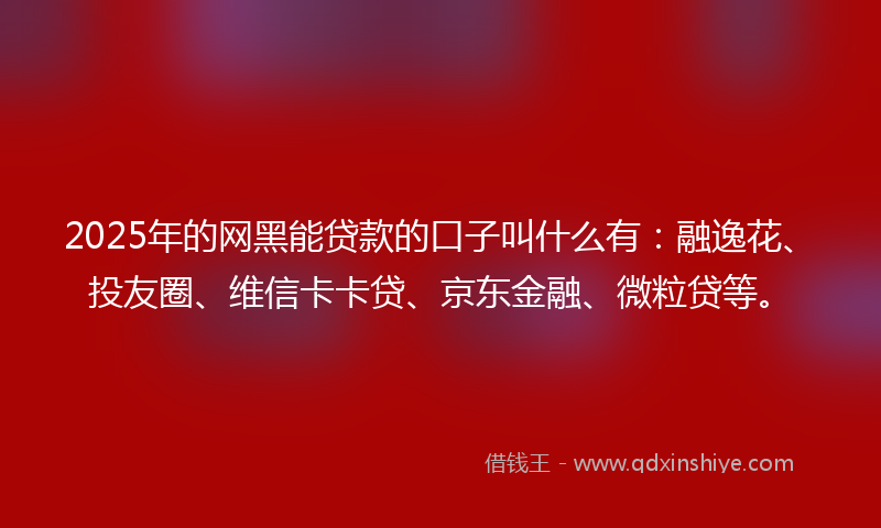 2025年的网黑能贷款的口子叫什么有：融逸花、投友圈、维信卡卡贷、京东金融、微粒贷等。