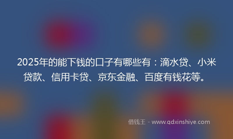 2025年的能下钱的口子有哪些有：滴水贷、小米贷款、信用卡贷、京东金融、百度有钱花等。