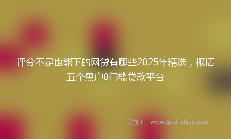 评分不足也能下的网贷有哪些2025年精选，概括五个黑户0门槛贷款平台